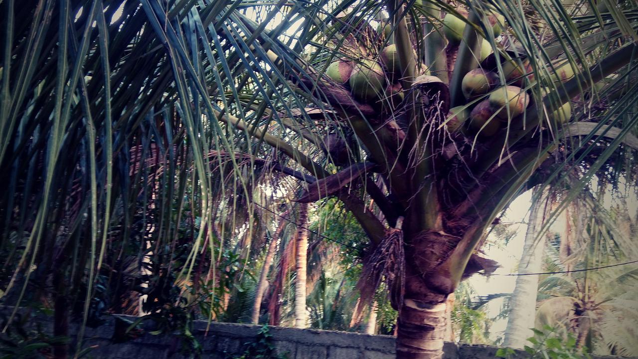 Sampathaa Residence Negombo Luaran gambar