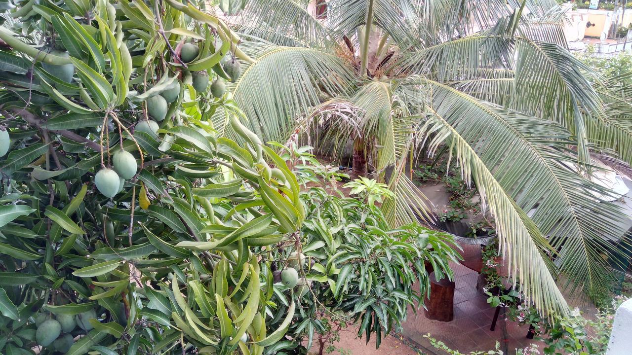 Sampathaa Residence Negombo Luaran gambar