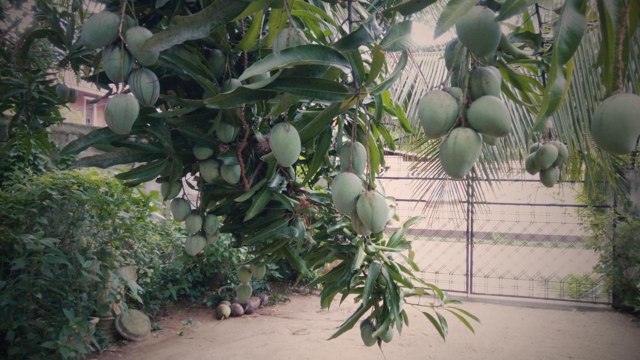 Sampathaa Residence Negombo Luaran gambar