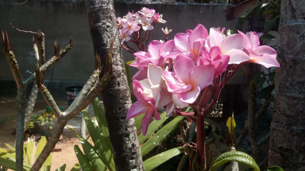Sampathaa Residence Negombo Bilik gambar