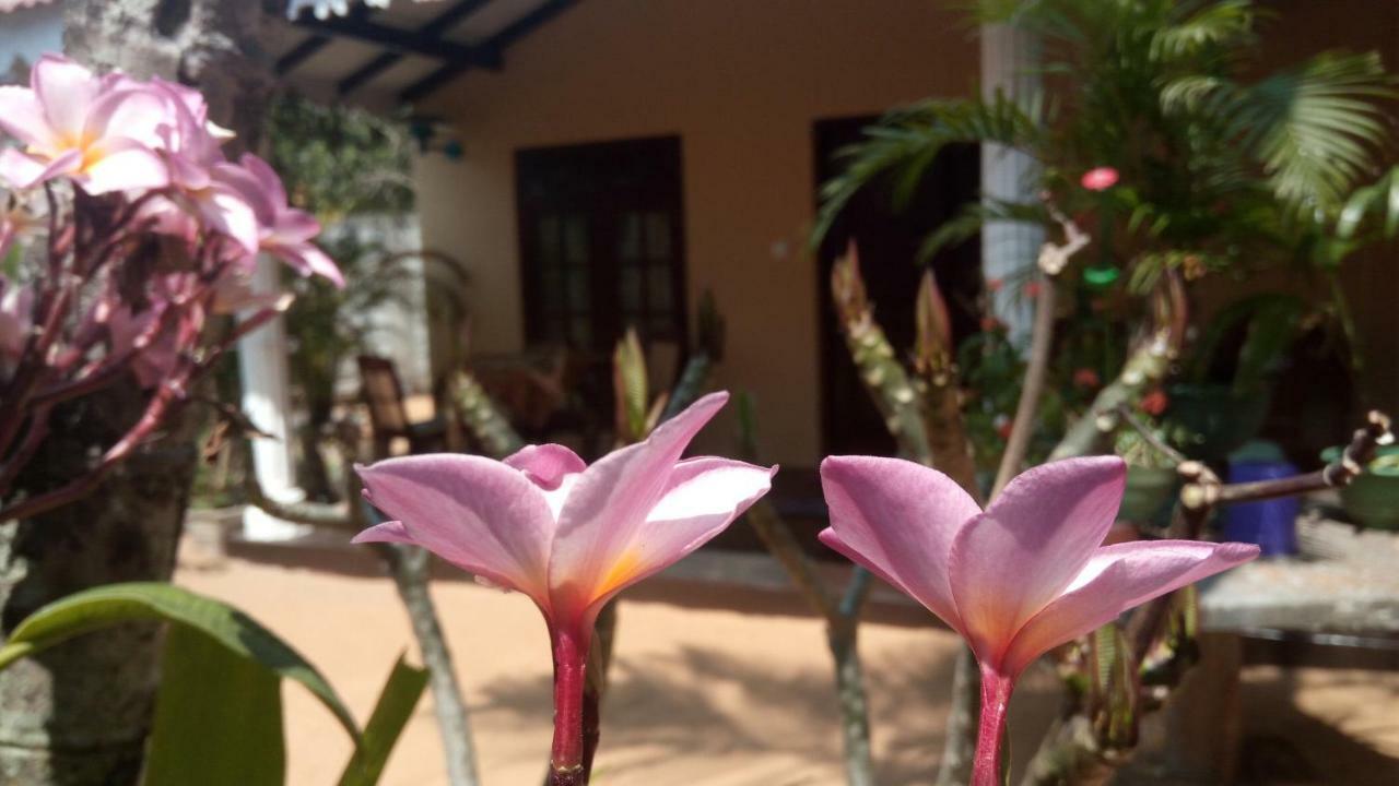 Sampathaa Residence Negombo Bilik gambar